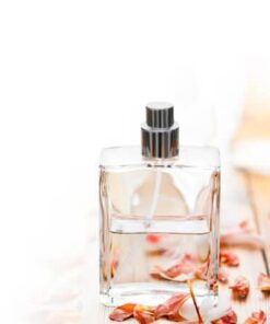 Perfumes | Cosmetics