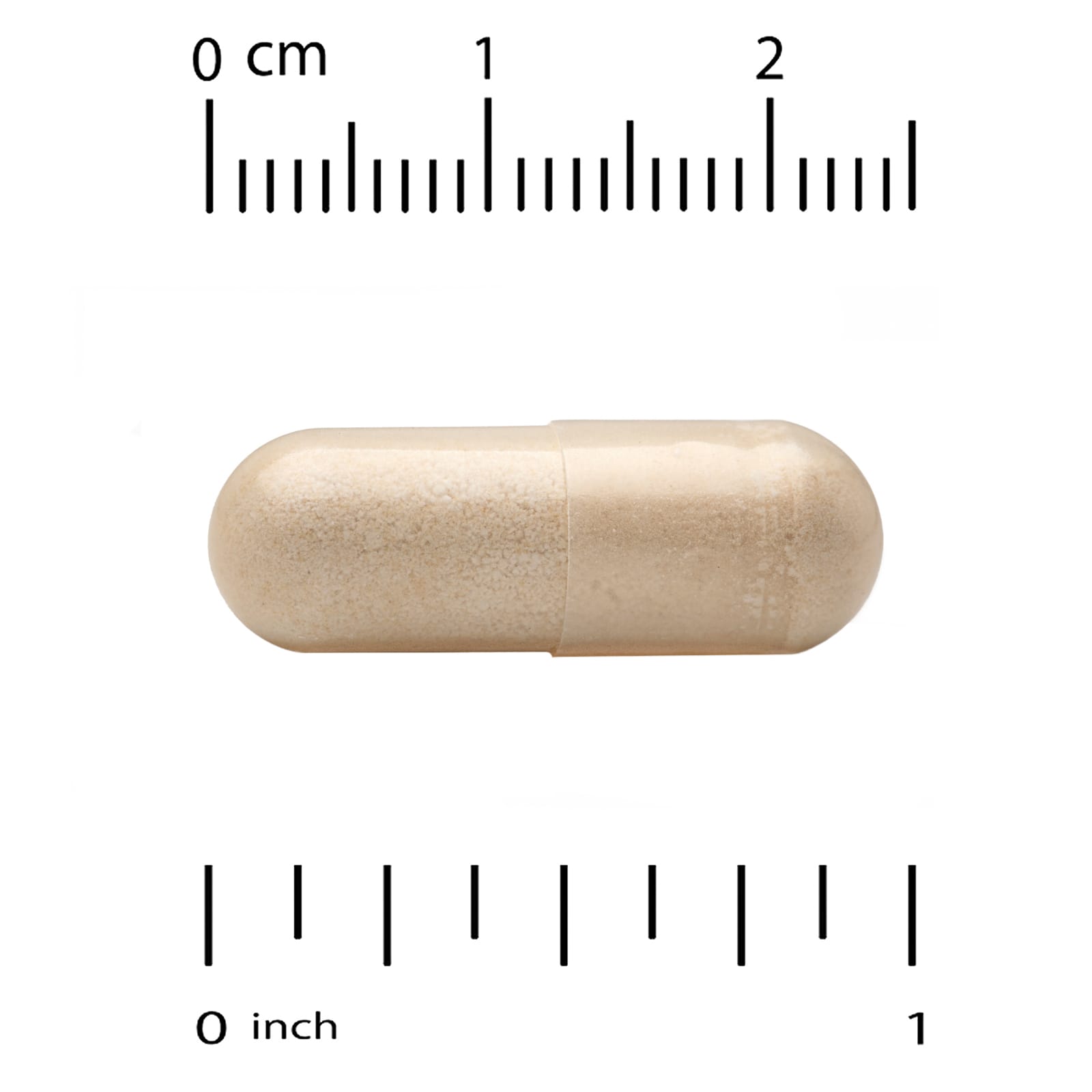 198.jpg